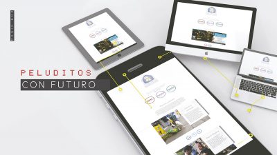 portafolio-web-grafico-(14)