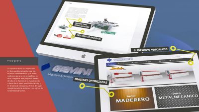 portafolio-web-grafico-(29)